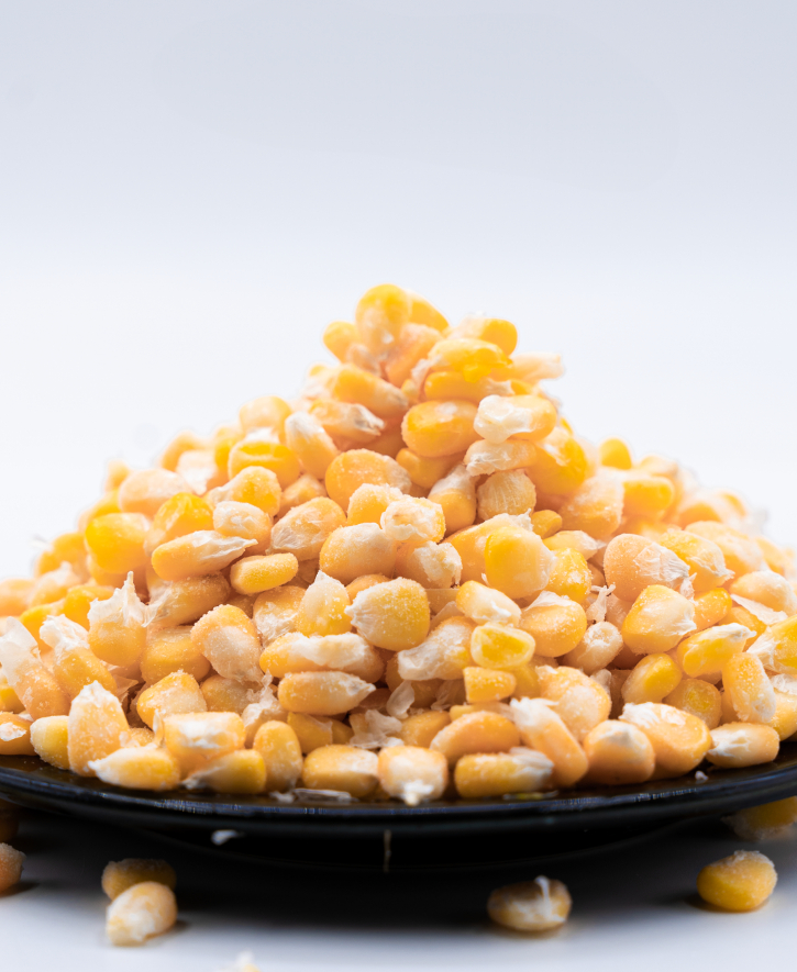 jagung pipil