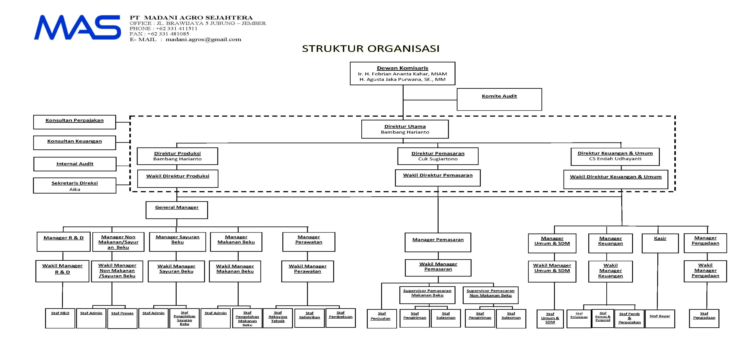 STRUKTUR ORGANISASI